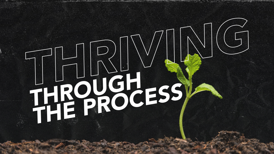 Thriving Through The Process